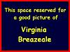 Virginia_VB.jpg